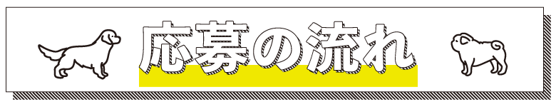 応募の流れ